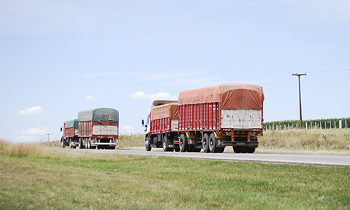 camion