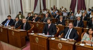 senado