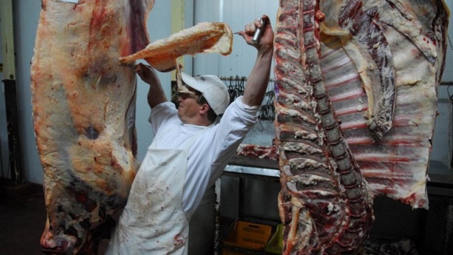 trabajadores_de_la_carne