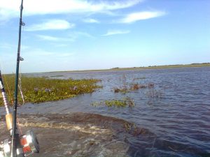 pescadores
