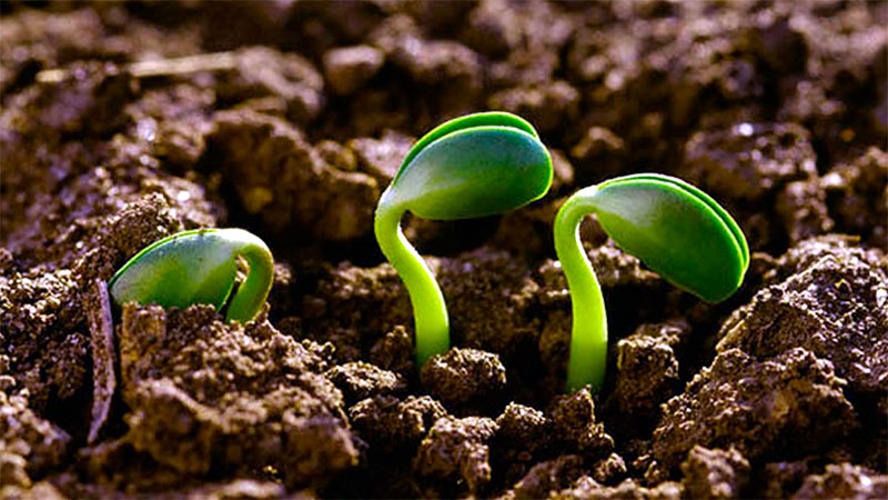 agroecologia