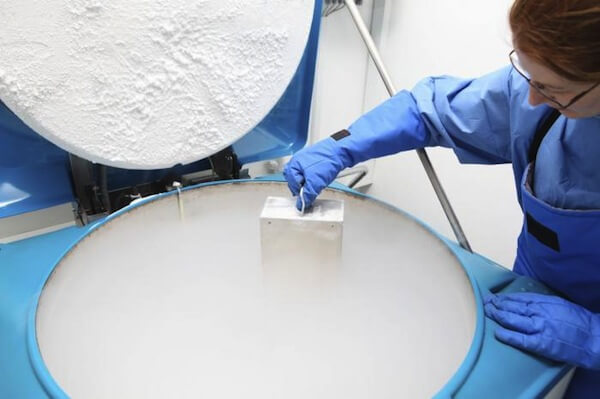congelados
