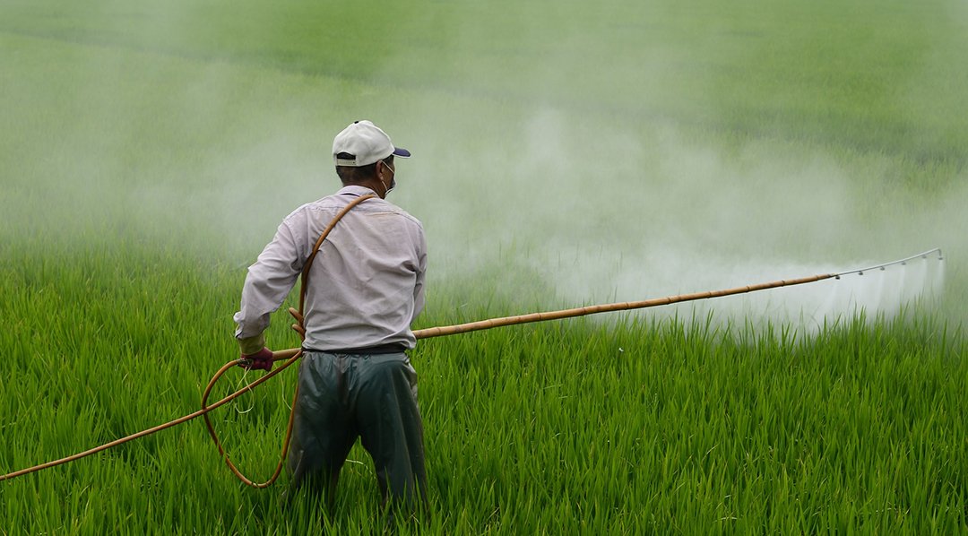 fumigaciones