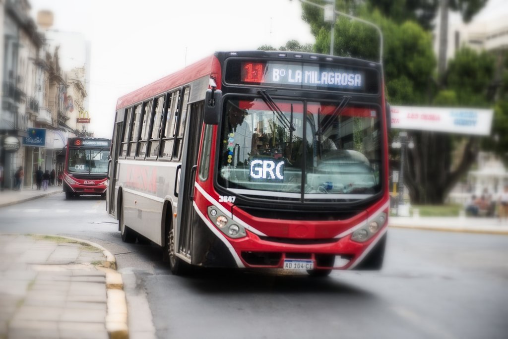 colectivos