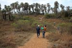 El Turismo encabeza la creación de trabajo en el país
