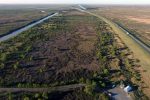 Detuvieron a tres personas realizando quemas sin autorización en islas del Delta
