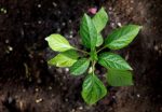 Ambiente invita a participar del concurso «Historias de Acción Climática»