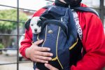 Primer operativo de esterilización de animales domésticos del año en Oro Verde