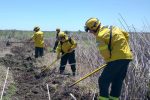 Brigadistas de Entre Ríos y Santa Fe siguen combatiendo incendios en islas de Victoria