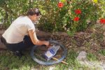 Nuevos bloqueos por casos de dengue autóctono