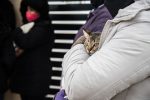Salud Animal continúa brindando servicios de manera gratuita