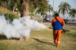 Campaña de control del mosquito común en Paraná