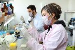 ANMAT autorizó el ensayo clínico para el estudio de fase 2/3 de la vacuna argentina contra el Covid-19