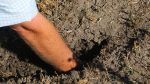La Federación Agraria de Entre Ríos se reunirá este sábado en Villaguay