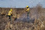 Bomberos de Entre Ríos y Buenos Aires combaten dos focos de incendios en islas del Delta