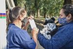 Continúan los operativos del quirófano móvil de Salud Animal