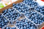 Sumarán más productos de economías regionales al dólar agro