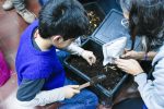 Lanzaron el Consejo Consultivo de la Ley de Educación Ambiental Integral