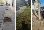 Denuncian tala masiva de árboles en el centro de Gualeguay