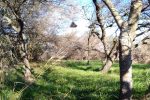 Se trabaja en la formalización de actas por desmontes