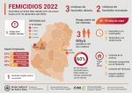 La importancia del Registro Nacional de Femicidios de la Justicia Argentina