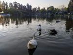 Paraná pondrá en valor el Parque Gazzano
