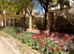 Está abierta la inscripción para participar del concurso de parques y jardines en Colón