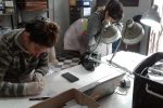 Trabajan en la puesta en valor de las colecciones arqueológicas del Museo Serrano