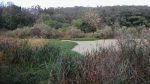 Continúan las tareas para conservar la «Laguna Verde» de Colonia Avellaneda