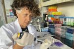 Investigadores y científicos argentinos avanzan en la formulación de vacunas de nueva generación