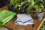 Jornada de eco canje por plantines en barrio San Agustín