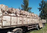 Colón recuperó casi 19 toneladas de cartón para reciclar
