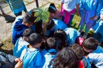 Jardineros de Gualeguay plantaron árboles en Plaza San Martín