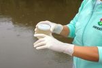 Gualeguaychú lleva adelante un Plan de Monitoreo de Agua en zonas de uso recreativo