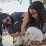 En marzo vuelve el servicio gratuito de castraciones de mascotas en barrios de Paraná