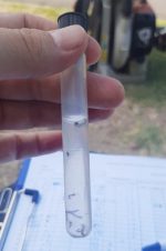 Paraná continúa con acciones de prevención contra el dengue y el sarampión