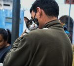 Actividades por el Día del Animal en Paraná