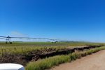 El Gobierno Nacional eliminó el Registro Único de la Cadena Agroindustrial